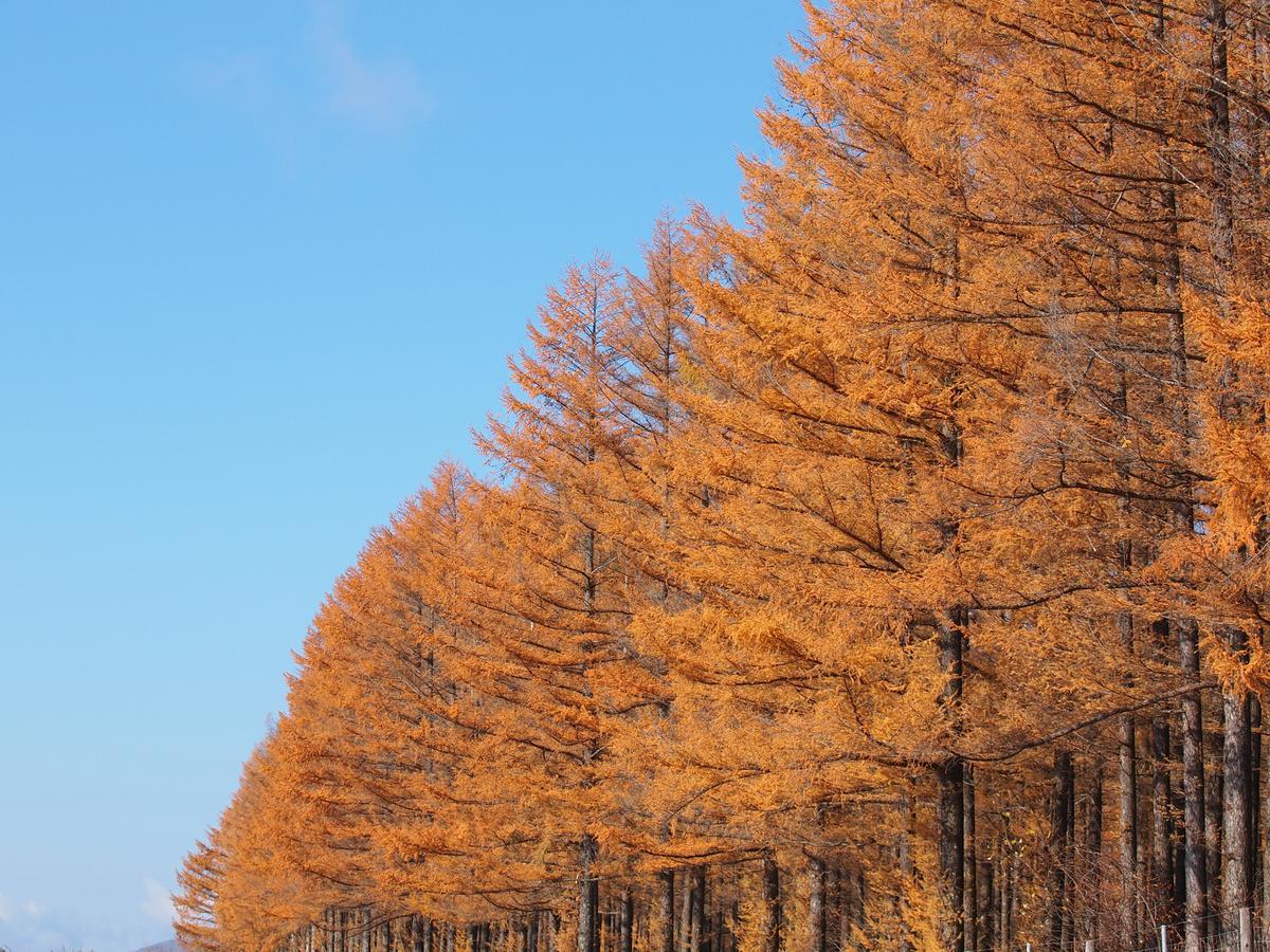 Log Hotel Larch Lake Kanayama Minamifurano Екстериор снимка